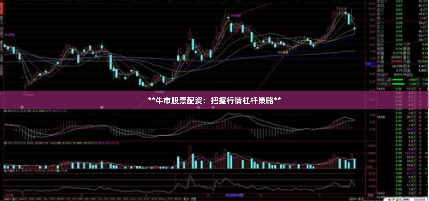 **牛市股票配资：把握行情杠杆策略**