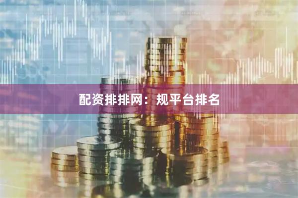 配资排排网：规平台排名